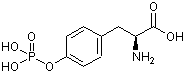 O-磷酸基-L-酪氨酸,21820-51-9,结构式
